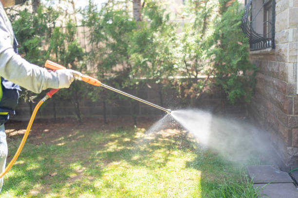 Best Mosquito Control  in Addis, LA